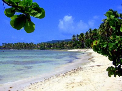 Playa Grande Las Galeras Samaná République Dominicaine